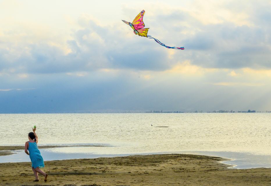 Delta de l'Ebre